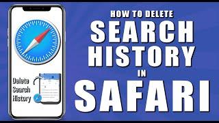 How to delete search history in safari (2024)