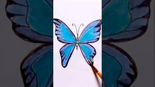 Beautiful Butterfly Drawing#art #painting #lunaart #drawing #shortsviral #shorts