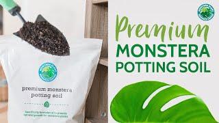 Announcing Premium Monstera Soil - The Best Soil Mix for Monsteras | Houseplant Resource Center