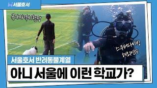 반려동물 학교 진학을 고민 중이라면? 서울호서가 정답인 이유! | 반려동물계열