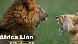 Free high quality documentary 