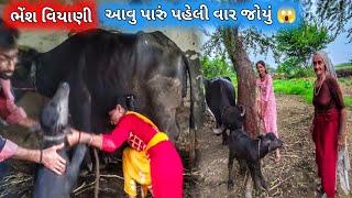 Bhesh Viyani / Aavu Paru Paheli Var Joyu || farmerlife ||