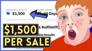 Best Affiliate Programs For Beginners 2025 ($1,500/Per Sale)