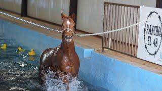 RANCHO EL 48 SWIM TRAINING DAY