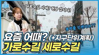 신사동 가로수길 세로수길 빌딩 시세 + 현장 탐방 및 지구단위계획구역 변경 내용 체크!