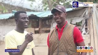 Among livestock farming choices in Ghana, rabbit farming provides greater profitability