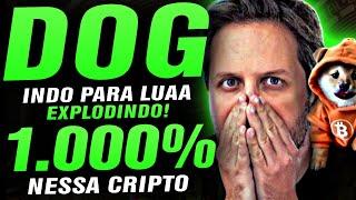  CRIPTOMOEDAS SUBINDO MUITO! CRIPTOMOEDA DOG GO TO THE MOON 1000% NESSA CRIPTO AUGUSTO BACKES