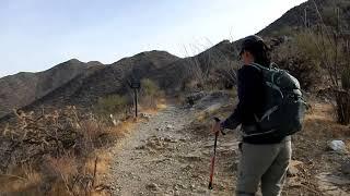 Hugh Norris Trail - Saguaro National Park West Hike