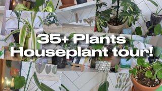 Houseplant Tour! |  35+ Houseplants! | Plants with Jules