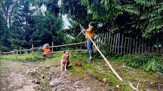 3 days Life in a mountain village: mushroom paradise while mowing hay