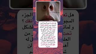 إذا كنت من عشاق المعلومات انصحك تتابعني #viral #fyp #trend