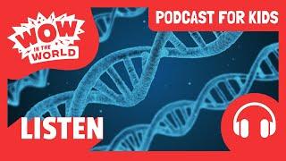 Learn about DNA Structure  | PODCAST FOR KIDS  | Wow in the World FULL EPISODE