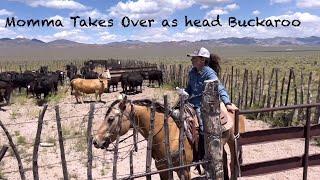 Head Cowgirl corrals a HERD