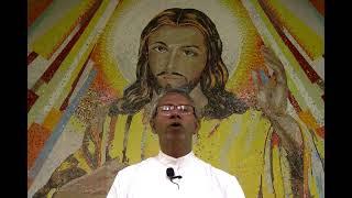 27th ordinary sunday (A)Telugu homily by Fr R.Balaraju sdb.