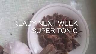 RACING PIGEONS SUPER TONIC READY NEXT WEEK