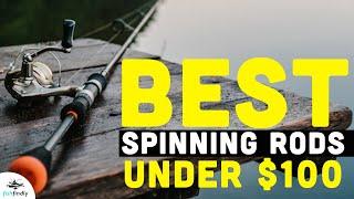 Best Spinning Rods Under 100 In 2020 – Economical & High Quality Products!