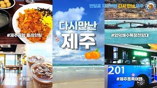 [다시 만난 제주 EP.05] 8박 9일 뚜벅여행 #제주도 #겨울제주도 #제주여행 #제주가볼만한곳 #JEJU #제주자유여행 #제주바다 #함덕해수욕장