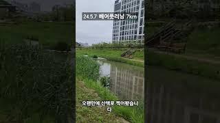 매일 같은 장소라 찍을께 없지만..오랜만에 산책로 찍어봤습니다. #running #달리기 #검단신도시 #계양천