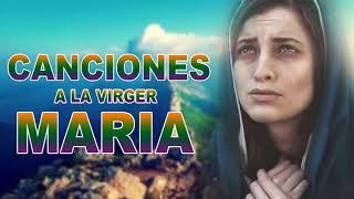 Hermosa cancion a nuestra Madre Santísima - Las mejores te fortalecerá tu corazón alma y Espíritu