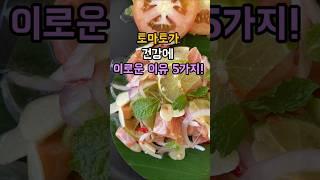 토마토가 건강에 이로운 이유 5가지! #항산화성분 #암예방 #세포손살