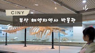 부산 해양자연사 박물관