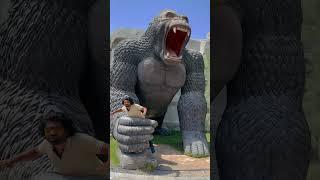 Catch King Kong and save everyone by subscribing #shorts #uae