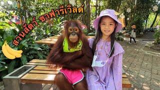 บริ้งค์ไบรท์ | สวนสัตว์ซาฟารีเวิลด์ มีลิง 