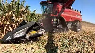 2024 Corn Harvest Starts In South East Illinois Season 5 Episode 24