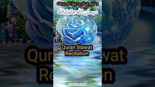 Most popular recitation of holy quran  #duet #قران #المصحف #voiceeffects