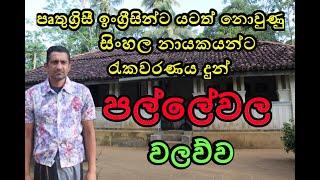 පල්ලෙවෙල වලව්වේ අවසන් පුරුක | Pallewela Walawwa | Gold Island Sri Lanka