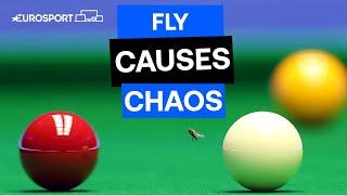 Mark Williams hilariously pots a FLY during his clash against Ali Carter 🪰 | The Masters 2024