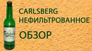 Обзор на пиво Карлсберг нефильтрованное