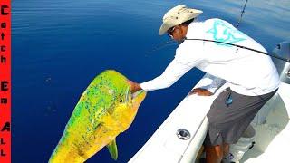 GIANT COLORFUL FISH Caught and COOKED! **California to Florida**