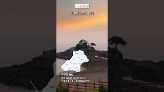 꽃길만 걷자 노을도 걷자 부안에서!