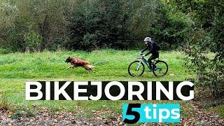 Bikejoring with my Belgian Shepherd | 5 Tips