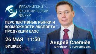 Перспективные рынки и возможности экспорта продукции ЕАЭС | Андрей Слепнёв министр по торговле ЕЭК