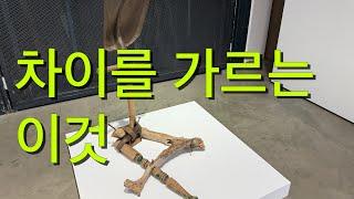 기뻐하세요!! 분별하는 것은 더욱 쉽습니다. 시간이 지날수록 벌어지는 실력차 #303갤러리 #시간 #본질 @KARTNYC