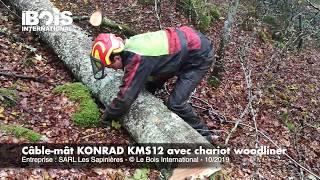 Le câble-mât Konrad KMS12 pour débarder du bois en zone sensible d’une réserve naturelle