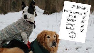 Bushcraft VLog: Fixing a Wigwam, Campfire Cooking, Puppy Dogs, and a Cookie Thief