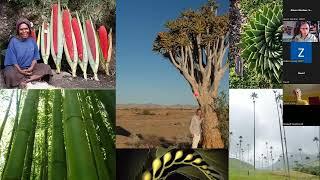 *A Wild Night In with Jonathan Drori * | Sheffield & Rotherham Wildlife Trust