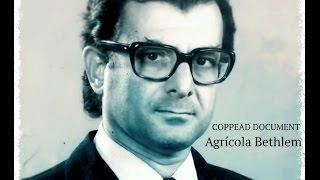 COPPEAD DOCUMENT - Agrícola Bethlem