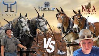 "Draft Horses vs. Draft Mules: Which One is Your Favorite? Comment Your Choice Below!"