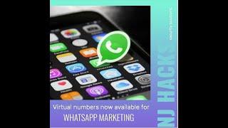 WhatsApp Virtual Number