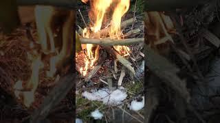 장작 불멍 간단한 요리 asmr  #camping #bushcraft