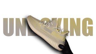 Adidas Yeezy Boost 350 V2 Antlia - ASMR Unboxing