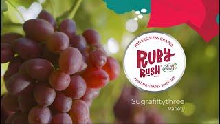 Sun World's RUBY RUSH® Grapes