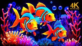 The Best 4K Aquarium - Explore the Stunning World of Sea Jellyfish and Beautiful Coral Reef Fish #8