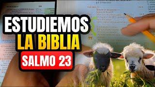 Aprende a ESTUDIAR el Salmo 23 como un experto.