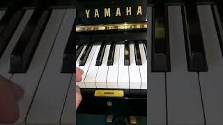 YAMAHA Piano Video One