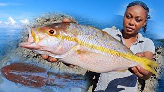 The Biggest Snapper We've Ever Caught!!! Also First Time Catching A Squid